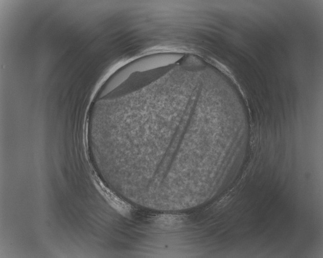 X0000080721179200701121836