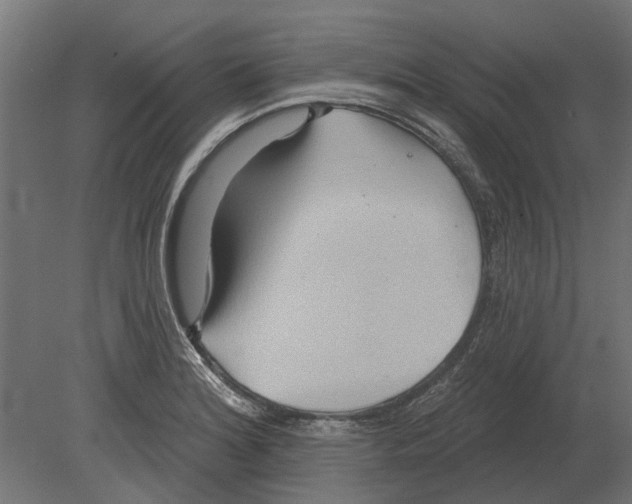 X0000080721180200701121836