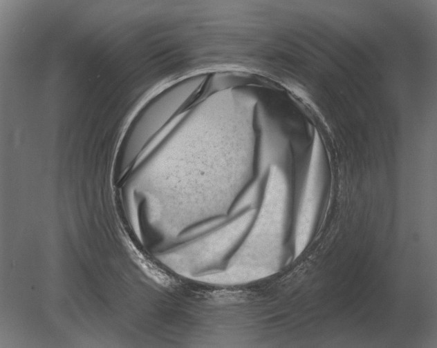 X0000080721181200701121836