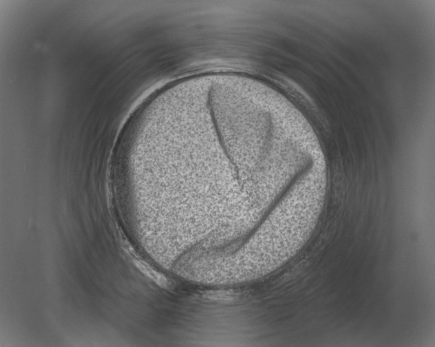 X0000080721182200701121836