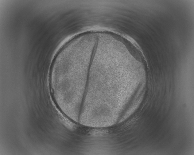 X0000080721183200701121836