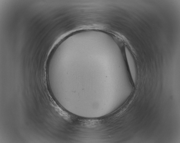 X0000080721184200701121836