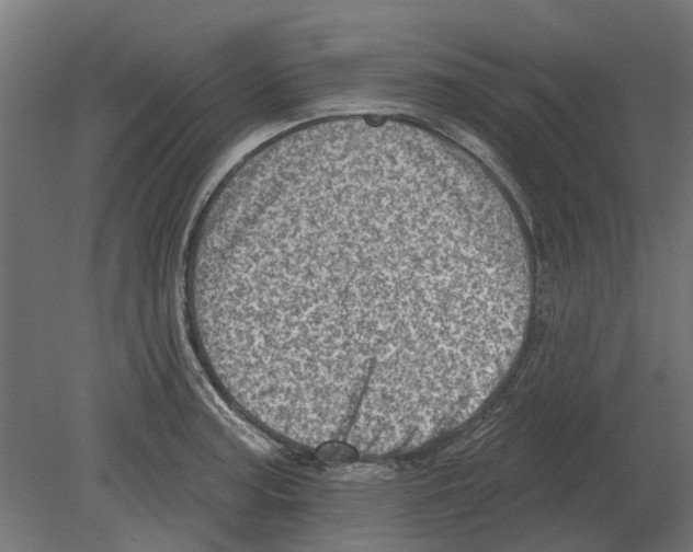 X0000080721187200701121835