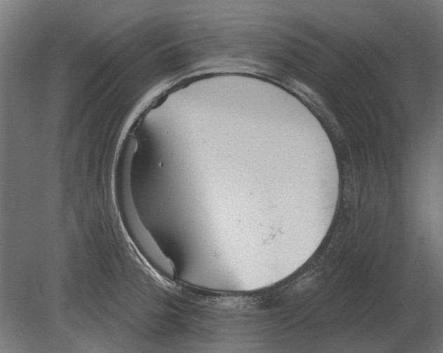 X0000080721188200701121835