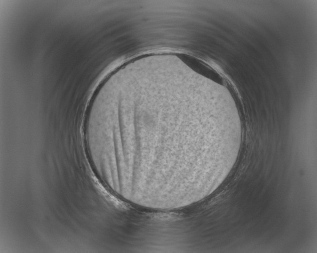 X0000080721189200701121835