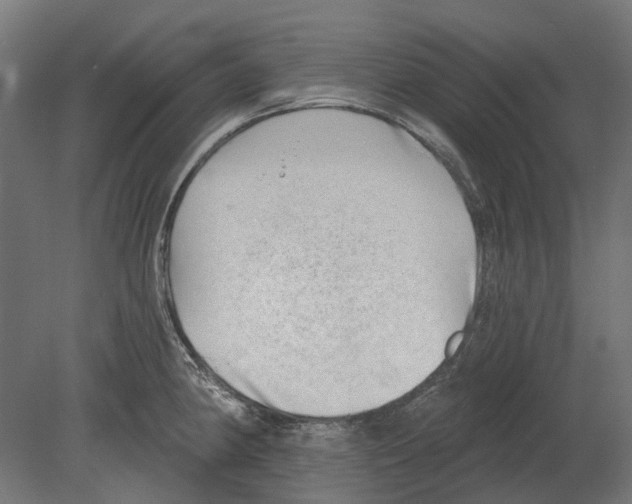 X0000080721190200701121835