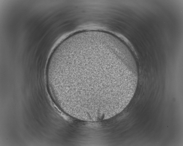 X0000080721191200701121835