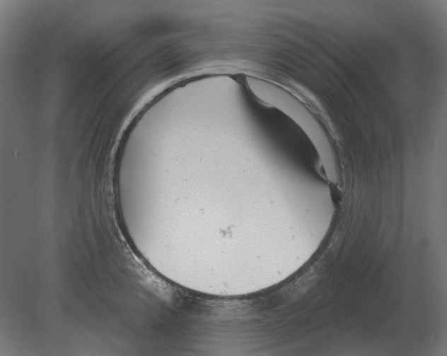 X0000080721192200701121835