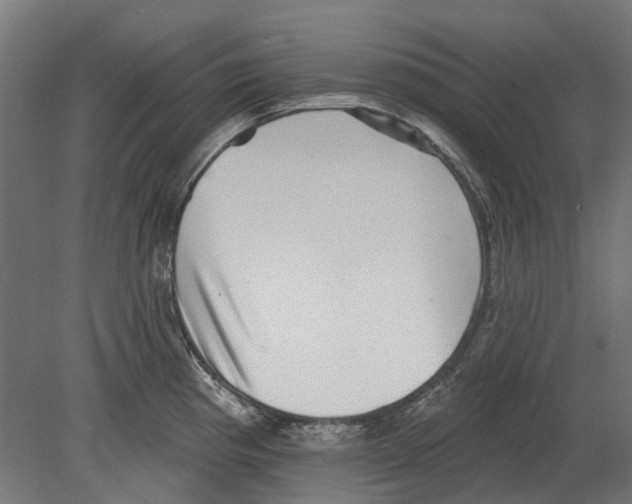 X0000080721193200701121835