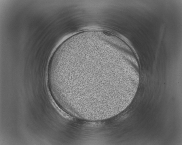 X0000080721195200701121835