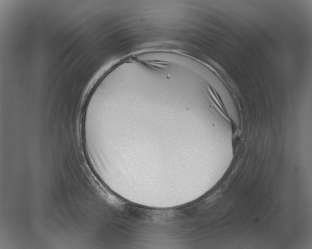 X0000080721196200701121835