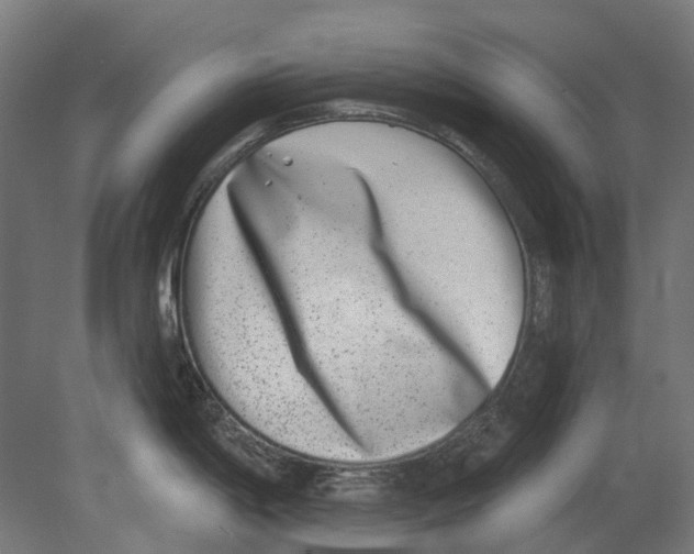 X0000080721198200701121835