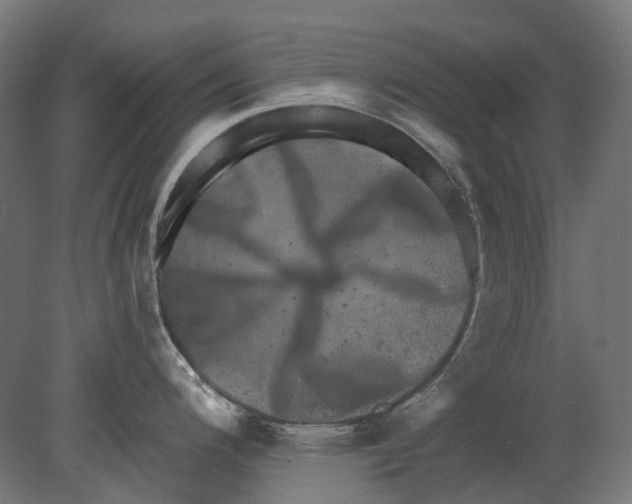 X0000080721200200701121835