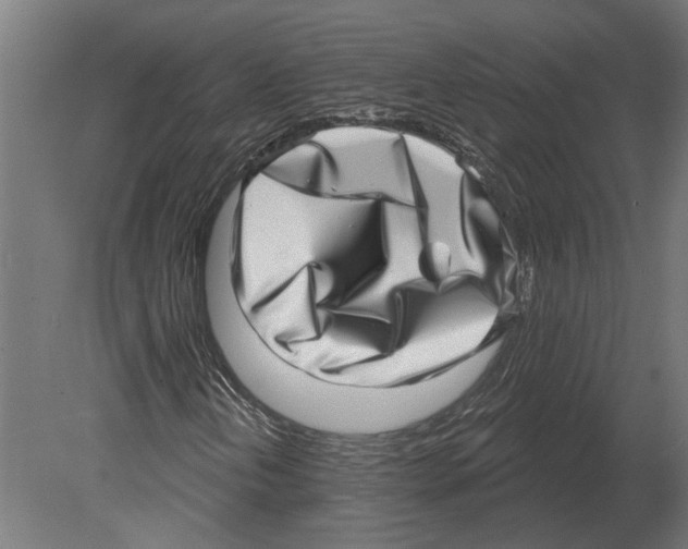 X0000080721202200701121834