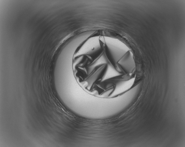 X0000080721210200701121835