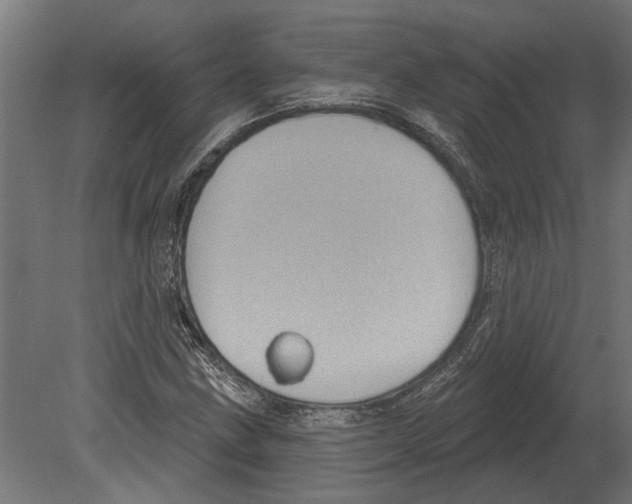 X0000080721211200701121835