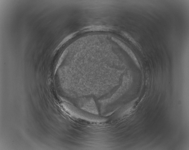 X0000080721213200701121835