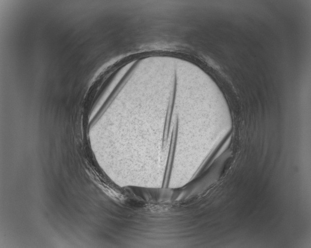 X0000080721214200701121835