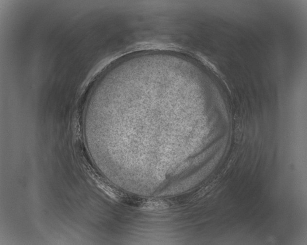 X0000080721215200701121835