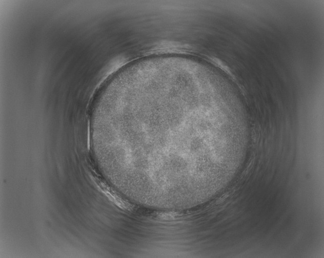 X0000080721219200701121835