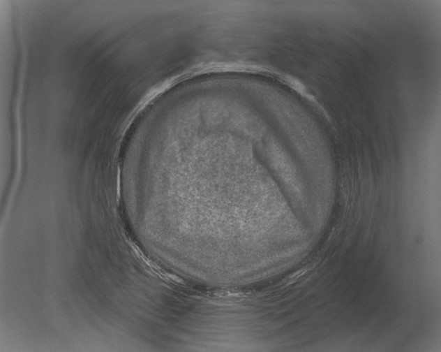 X0000080721221200701121835