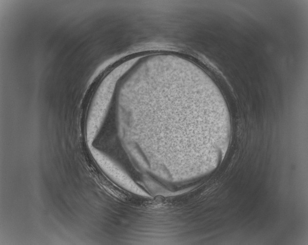 X0000080721222200701121835