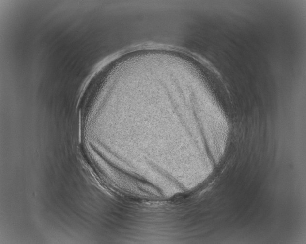 X0000080721223200701121835