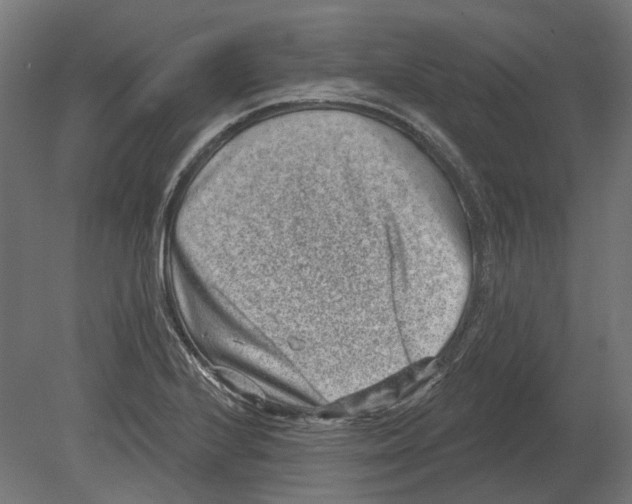 X0000080721224200701121835