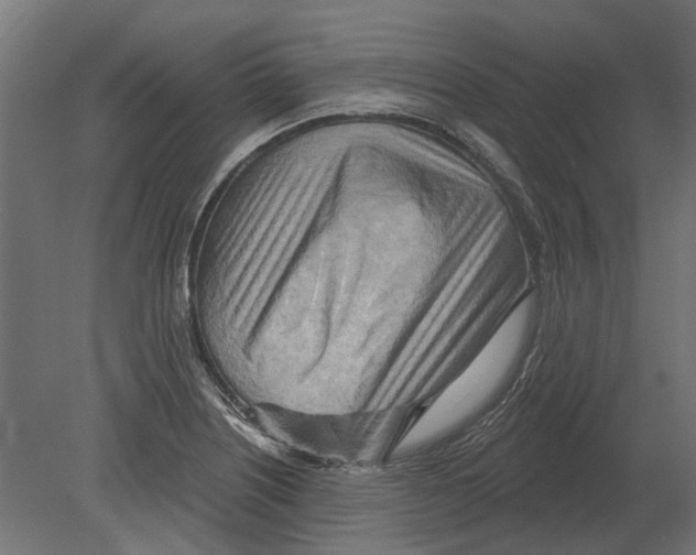 X0000080721226200701121835