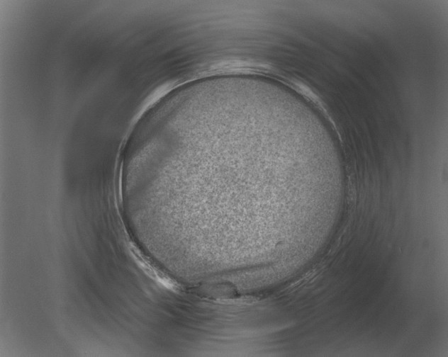 X0000080721227200701121835