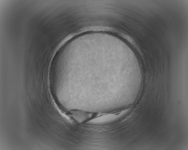 X0000080721229200701121835