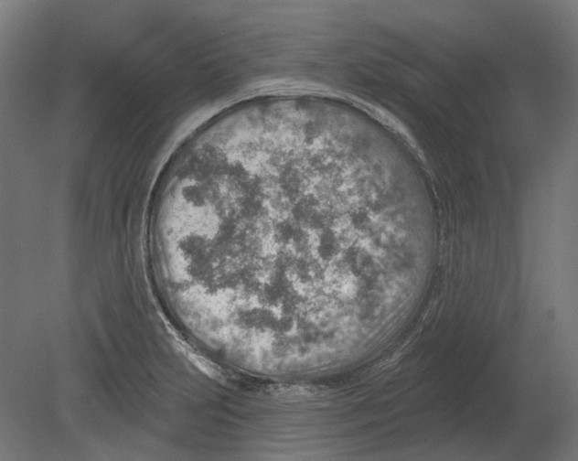 X0000080721231200701121835