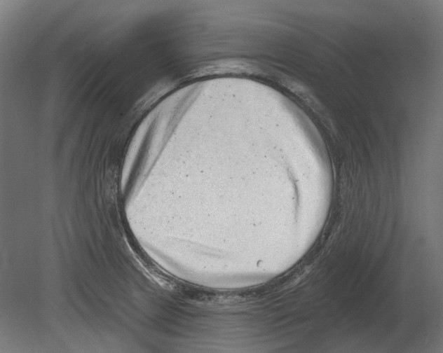 X0000080721233200701121835