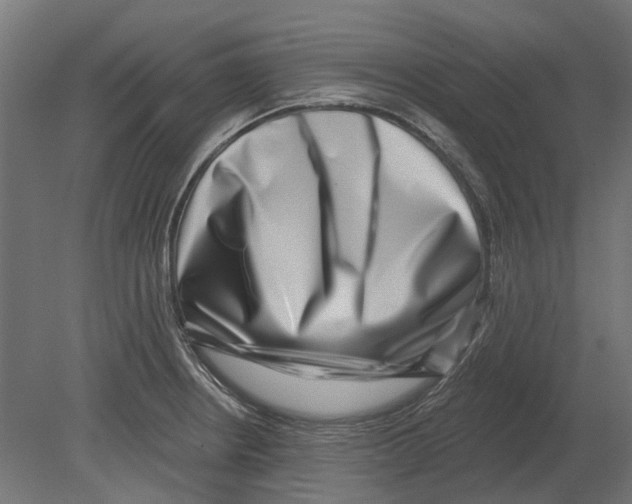 X0000080721234200701121835