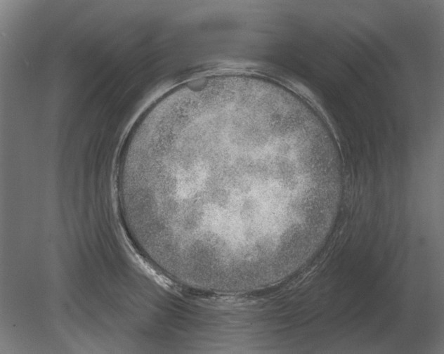 X0000080721235200701121835