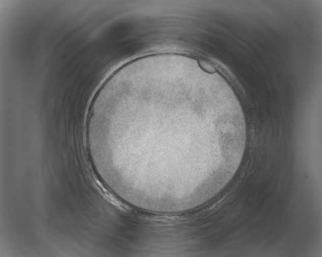 X0000080721236200701121835