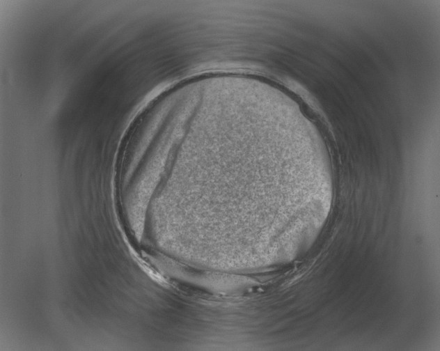 X0000080721237200701121835