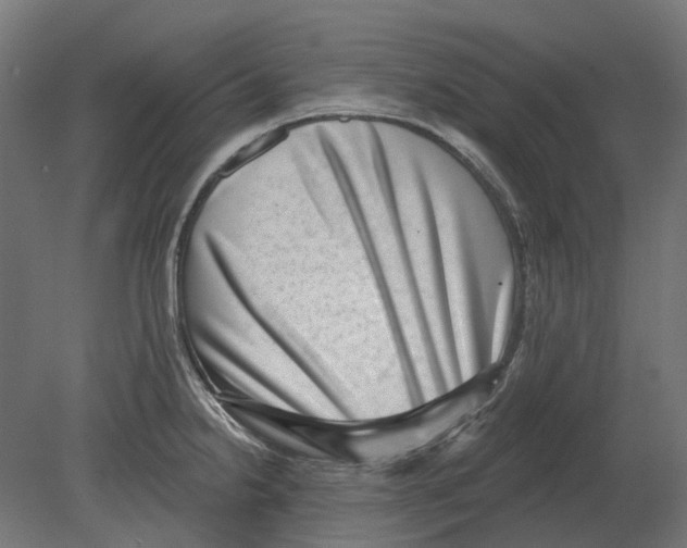 X0000080721238200701121835