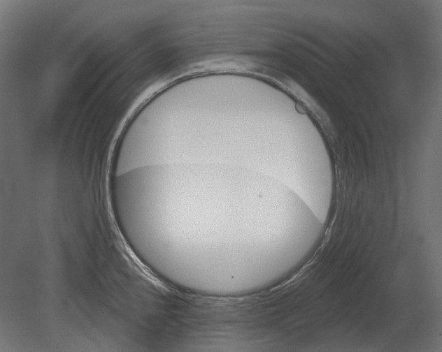 X0000080721240200701121835