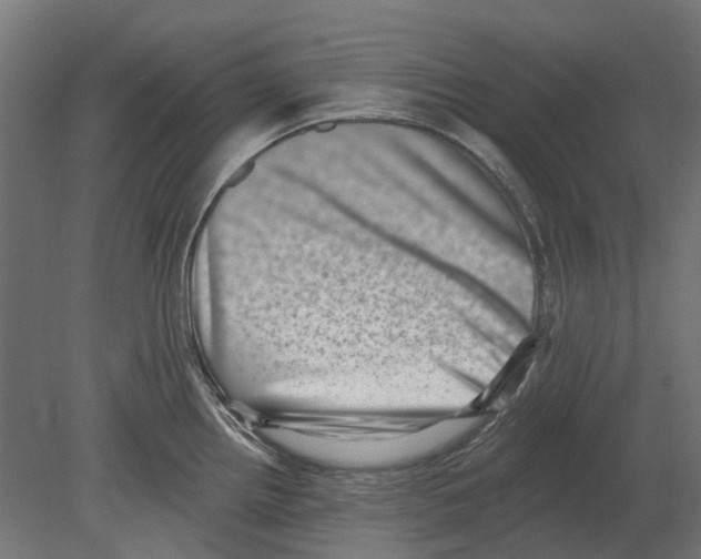 X0000080721242200701121835