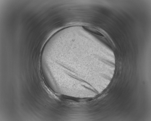 X0000080721244200701121835