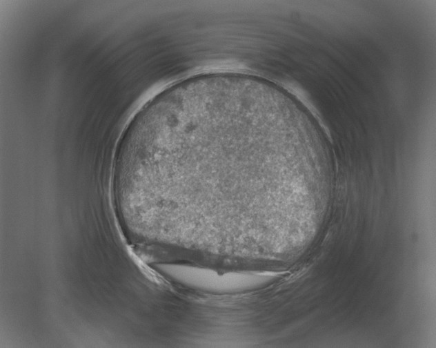 X0000080721245200701121835