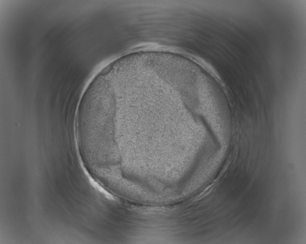 X0000080721247200701121835