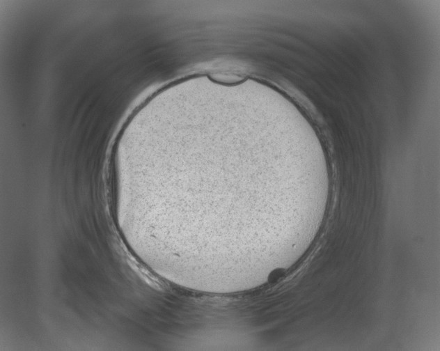 X0000080721248200701121835