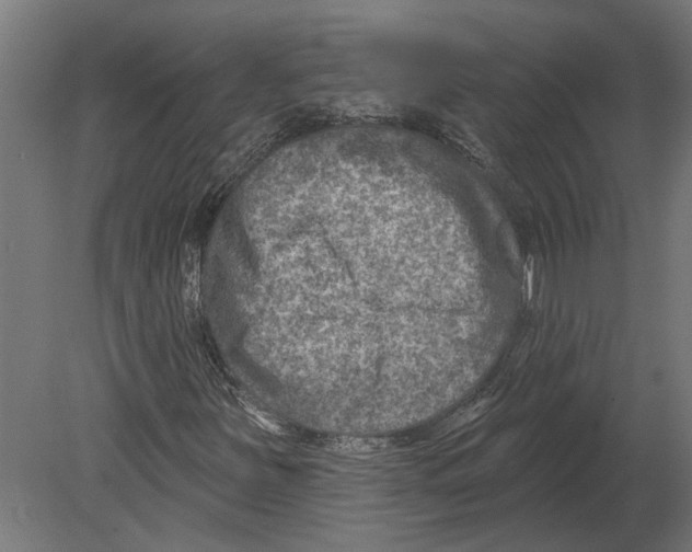 X0000080721251200701121834