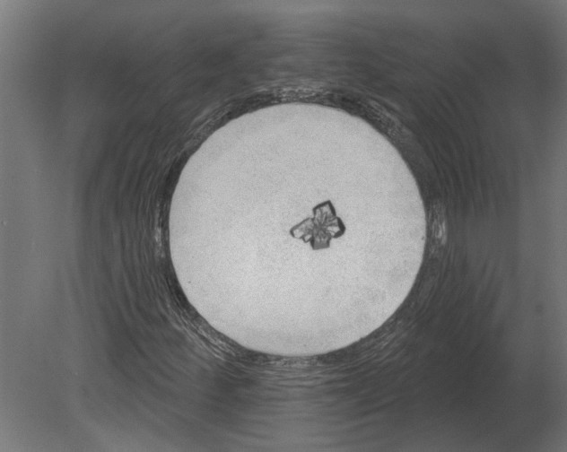 X0000080721252200701121834