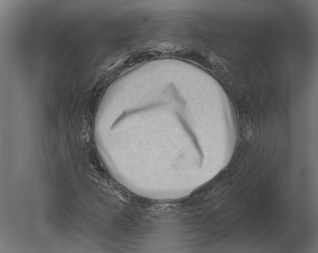 X0000080721253200701121834