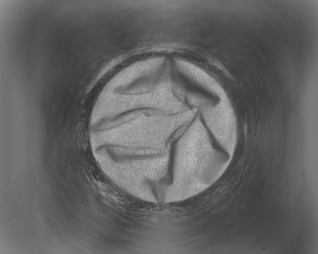 X0000080721256200701121834