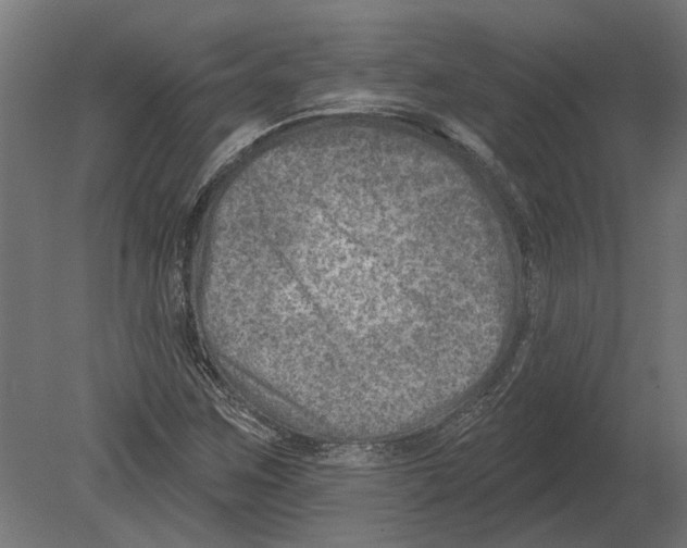 X0000080721259200701121834