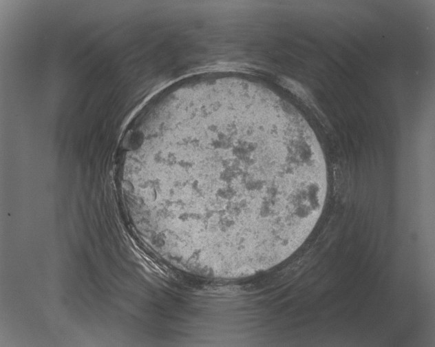 X0000080721260200701121834